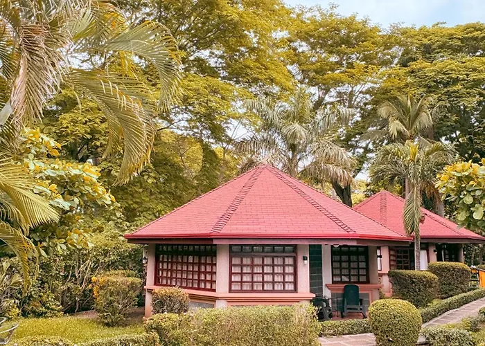 Acacia Bed & Breakfast